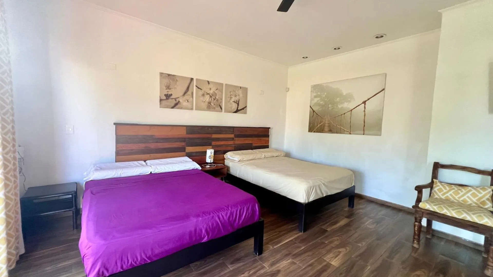 Cancun-Soho Отель типа 